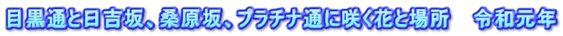 目黒通と日吉坂、桑原坂、プラチナ通に咲く花と場所   令和元年