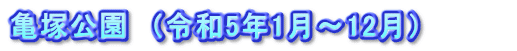 亀塚公園　（令和5年1月～12月）　　　　