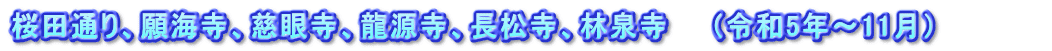 桜田通り、願海寺、慈眼寺、龍源寺、長松寺、林泉寺　　（令和5年～11月）　　　　　