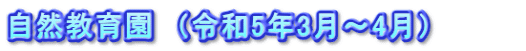自然教育園　（令和5年3月～4月）　　　　