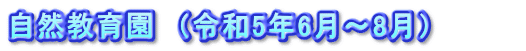 自然教育園　（令和5年6月～8月）　　　　