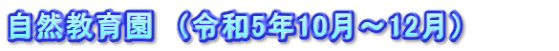 自然教育園　（令和5年10月～12月）　　　　